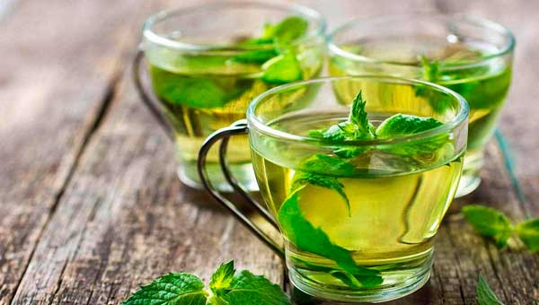 Корисні властивості зеленого чаю