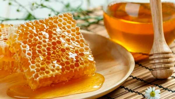Корисні властивості меду
