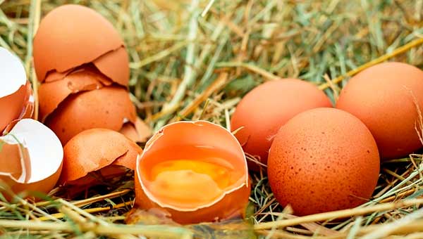 корисні властивості яєчної шкаралупи