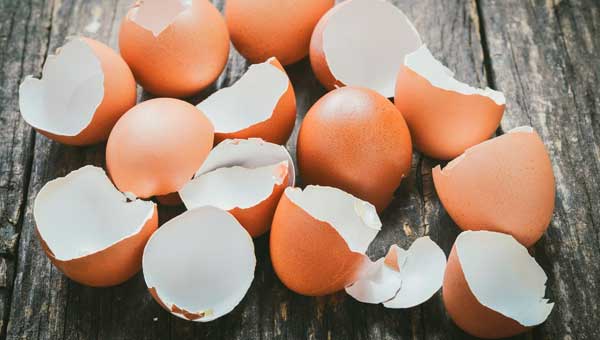 Корисні властивості яєчної шкаралупи